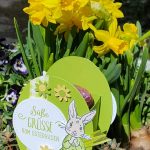 Zeig mal her April 2019 Hilde Ozwirk