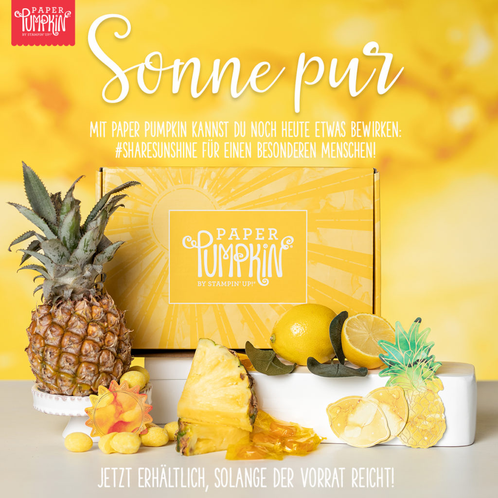 Paper Pumpkin Sonne Pur 2 06.01.20 DSHAREABLE NOWAVAL PP JUNE GLOBAL DE