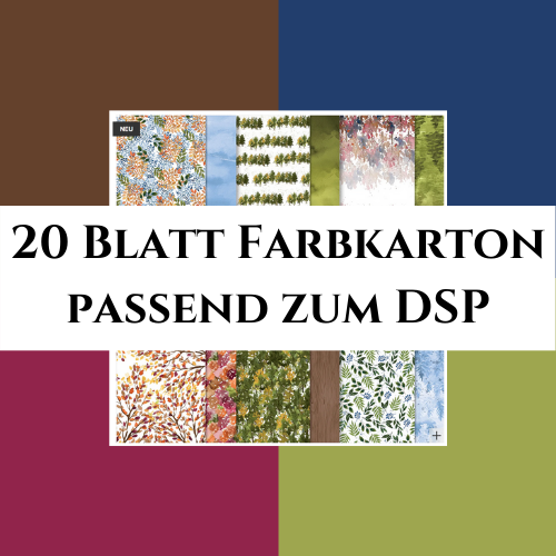 20 Blatt Farbkarton passend zum DSP Schöne Natur