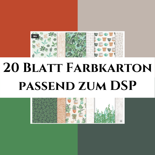 20 Blatt Farbkarton passend zum DSP Pflanzenecke