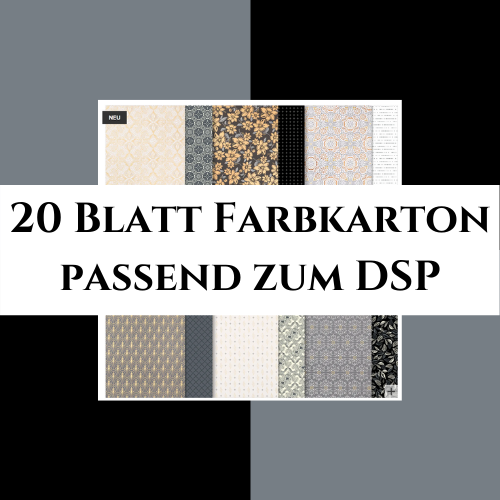 20 Blatt Farbkarton passend zum DSP Einfach Elegant
