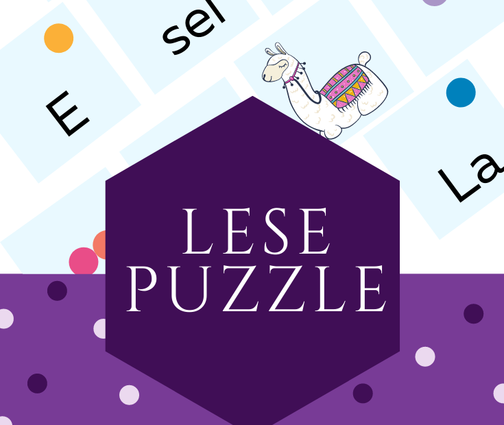 Lese Puzzle Pin