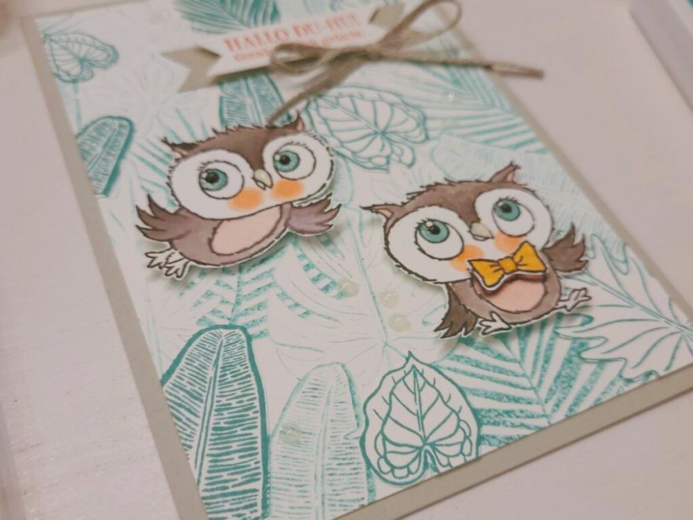 Eulenpost Tropical Takeaway Stampin' Up!
