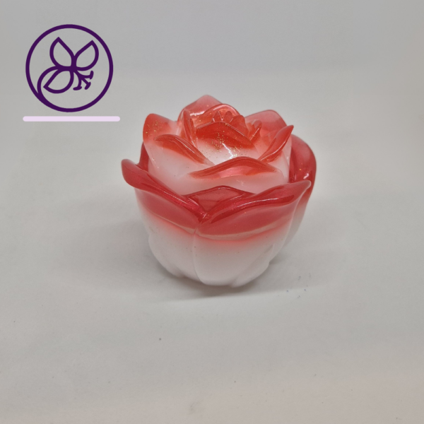 Dose Rose