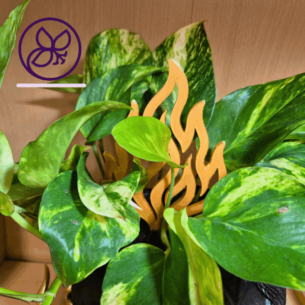 Burn Bundle – der Drachen-Blumentopf plus Flammenpflanzstecker – Bild 3