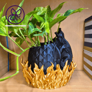 Burn – 3D-Blumentopf Drache | 25 cm | Für 10 cm Pflanzen